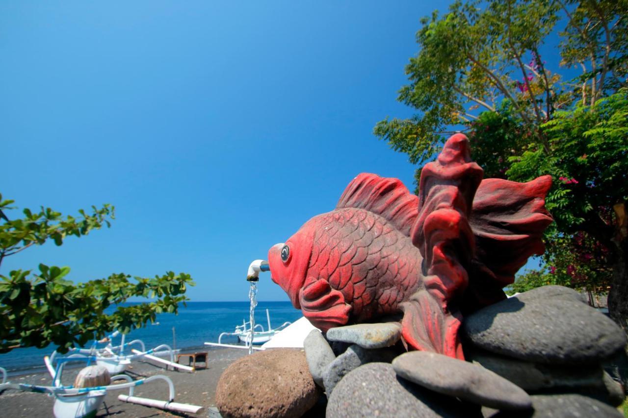 Valomia Beachfront 아메드 외부 사진